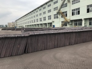IMG_4831