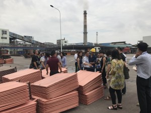 IMG_4841