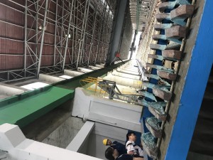 IMG_4865 (1)
